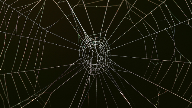 Illustration for article titled 7 Handy Mnemonic Devices For Remembering That Humans Usually Don’t Need To Worry About Getting Caught In Spiderwebs